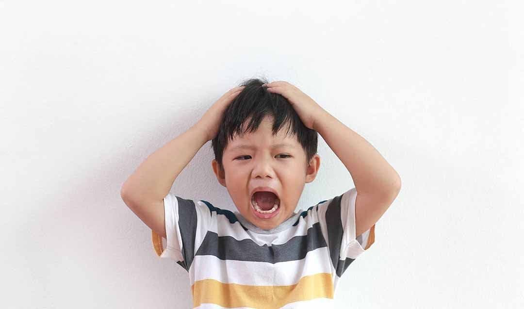 NDIS Support for Vietnamese Children with Autism